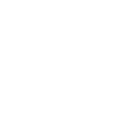 Bricks